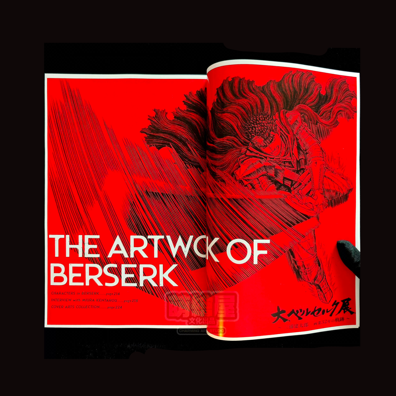 Berserk book - premium anime collection back view
