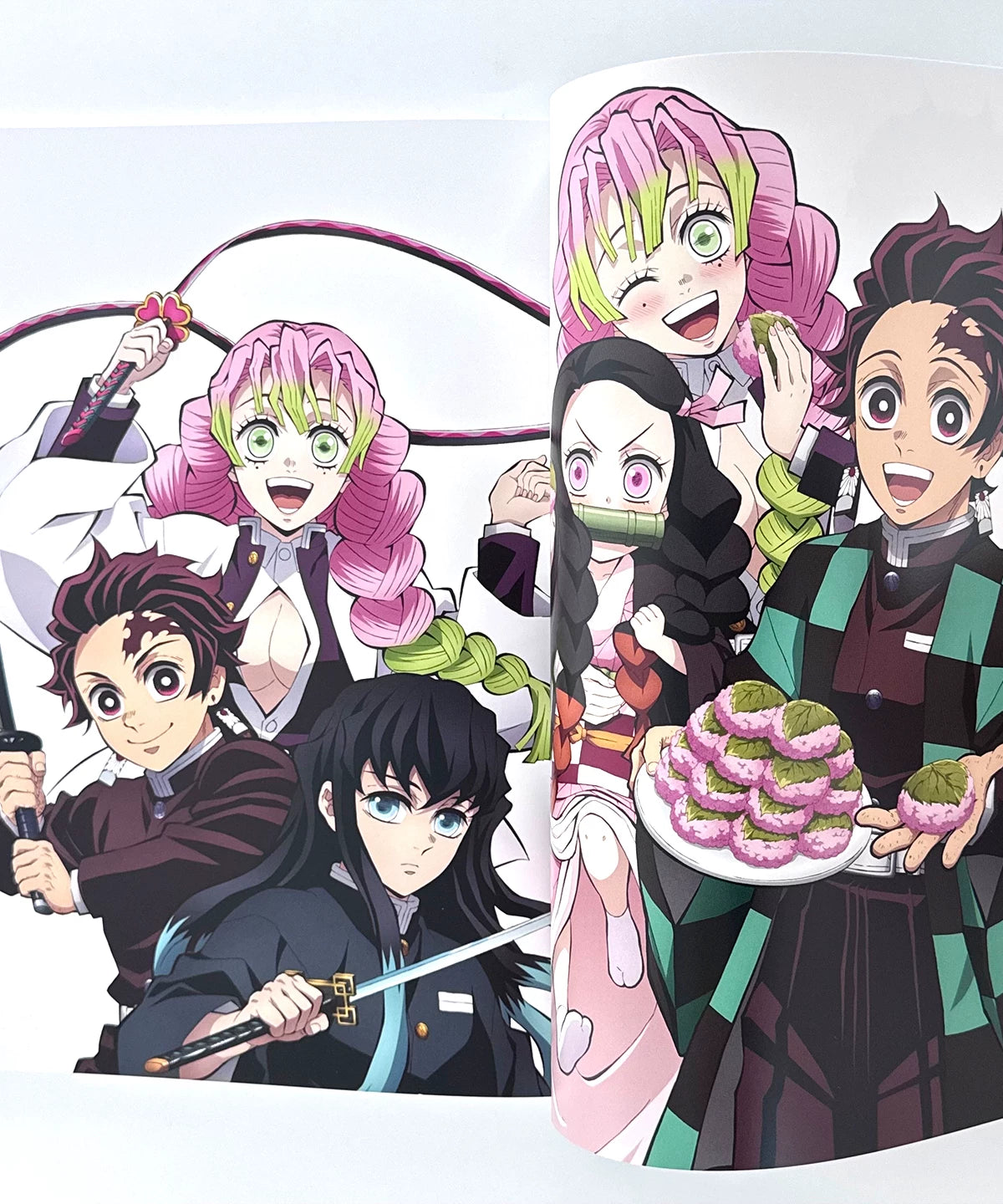 Demon Slayer Artbook Vol 04