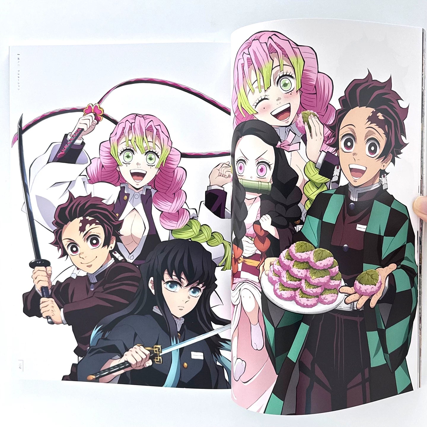 Demon Slayer Artbook Vol 04